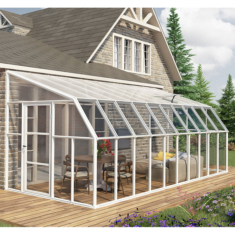 Product photograph of 8 X 20 Palram Canopia Rion Clear Sun Room 2 57m X 6 32m from Buy Sheds Direct