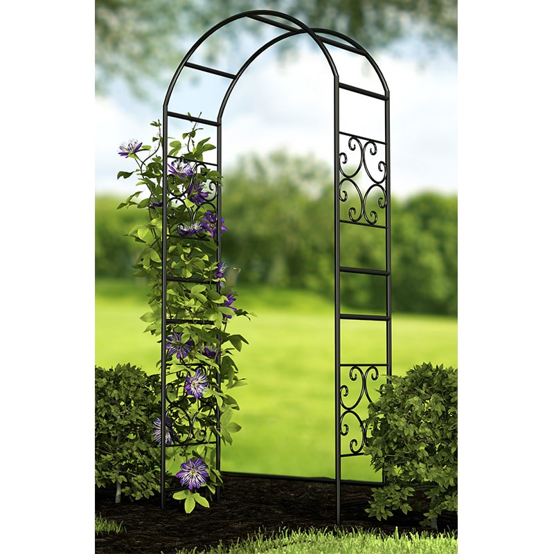 Product photograph of Panacea Scrolls Metal Garden Arch 7 5 X 3 2 from Buy Sheds Direct
