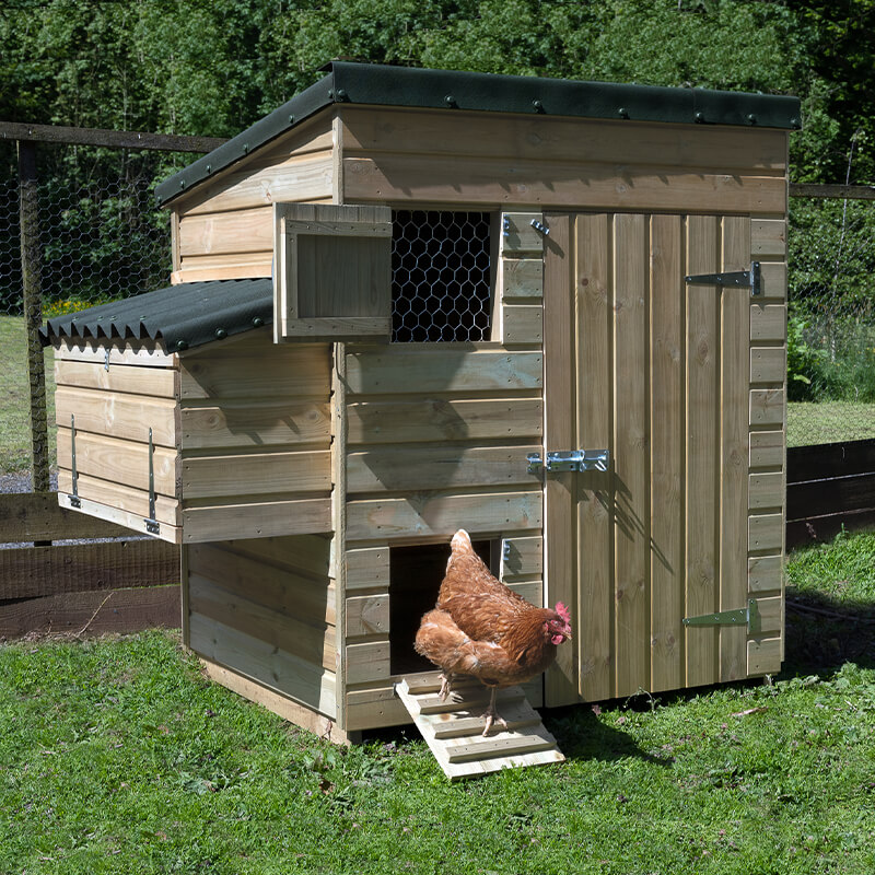 5'4 x 3'8 Forest Hedgerow Wooden Large Hen House (1.63m x 1.12m)