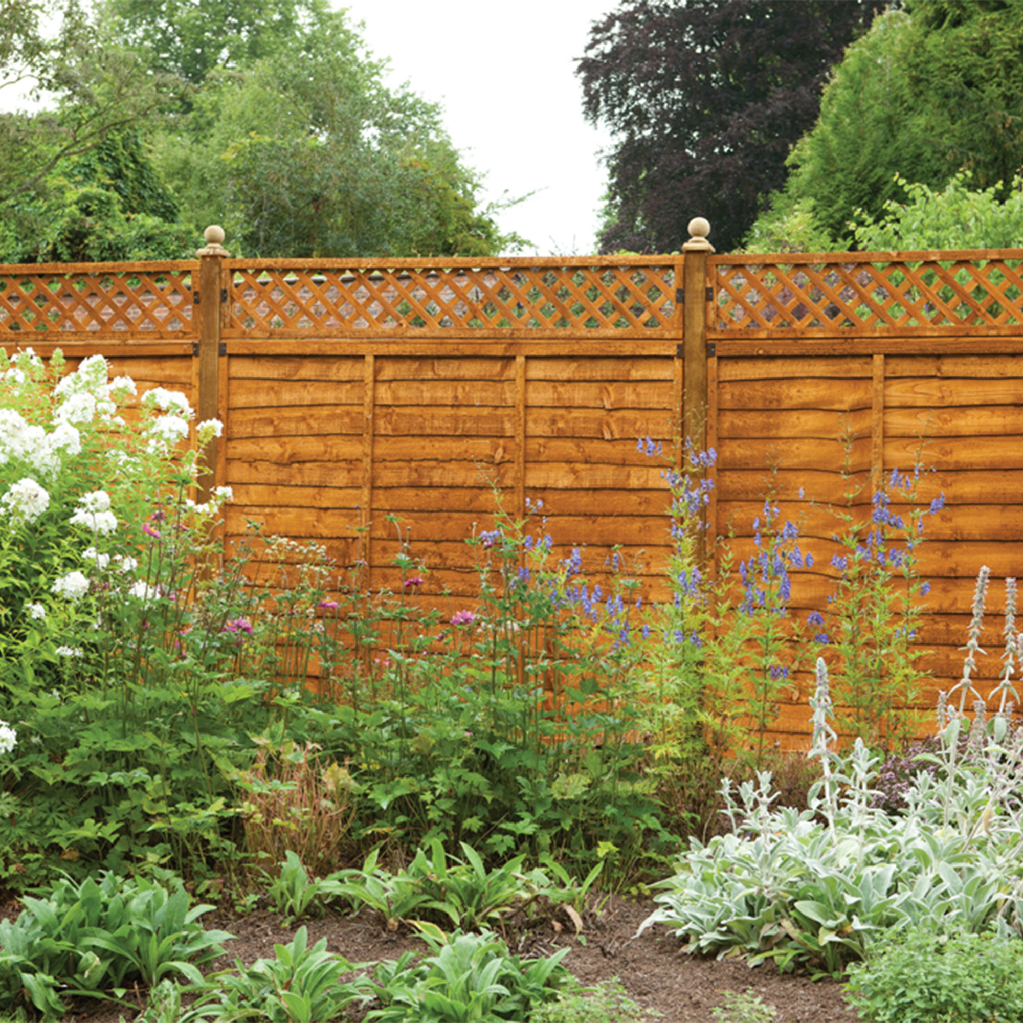 Product photograph of Forest 6 X 1 Diamond Lattice Trellis Fence Topper 1 83m X 0 3m from Buy Sheds Direct