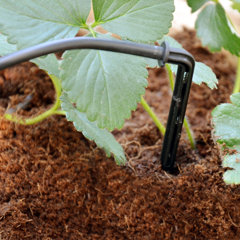 Product photograph of Palram Canopia Greenhouse Irrigation Kit from Buy Sheds Direct