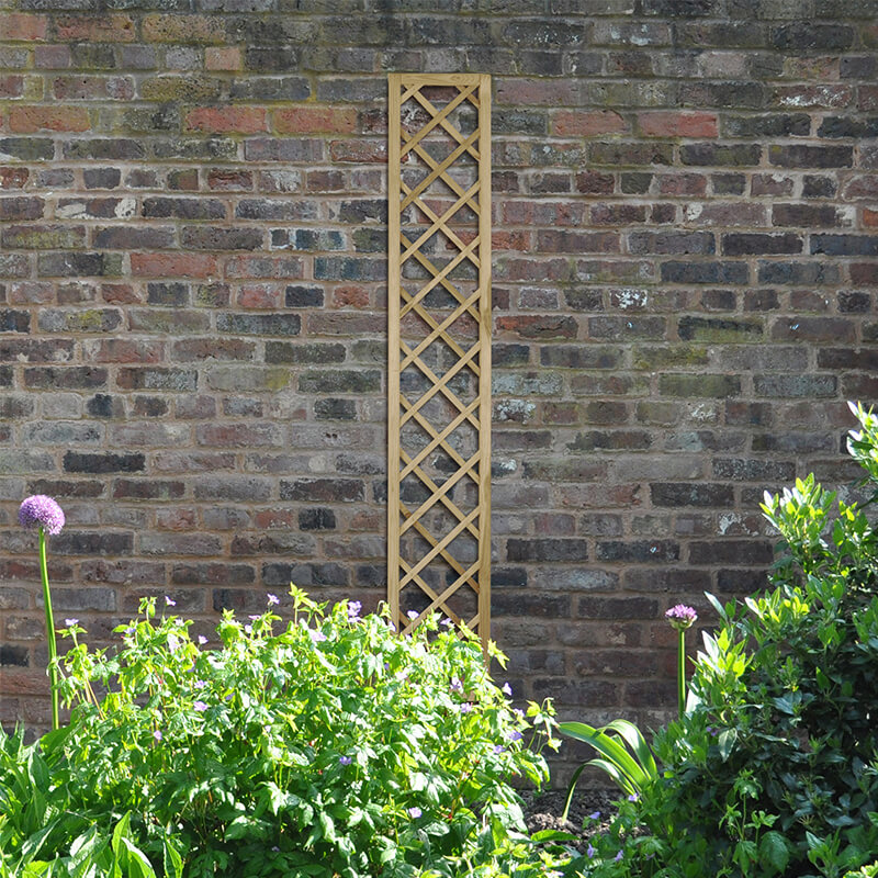 Product photograph of Forest 6 X 1 Decorative Hidcote Diamond Wooden Lattice Trellis 1 8m X 0 3m from Buy Sheds Direct