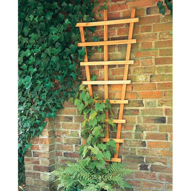 Product photograph of Forest 2 X 6 Heavy Duty High Decorative Fan Wall Trellis 0 66m X 1 83m from Buy Sheds Direct