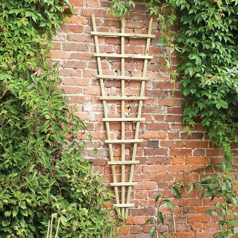 Product photograph of 6 X 2 Forest Traditional Pressure Treated Fan Trellis 1 8m X 0 6m from Buy Sheds Direct