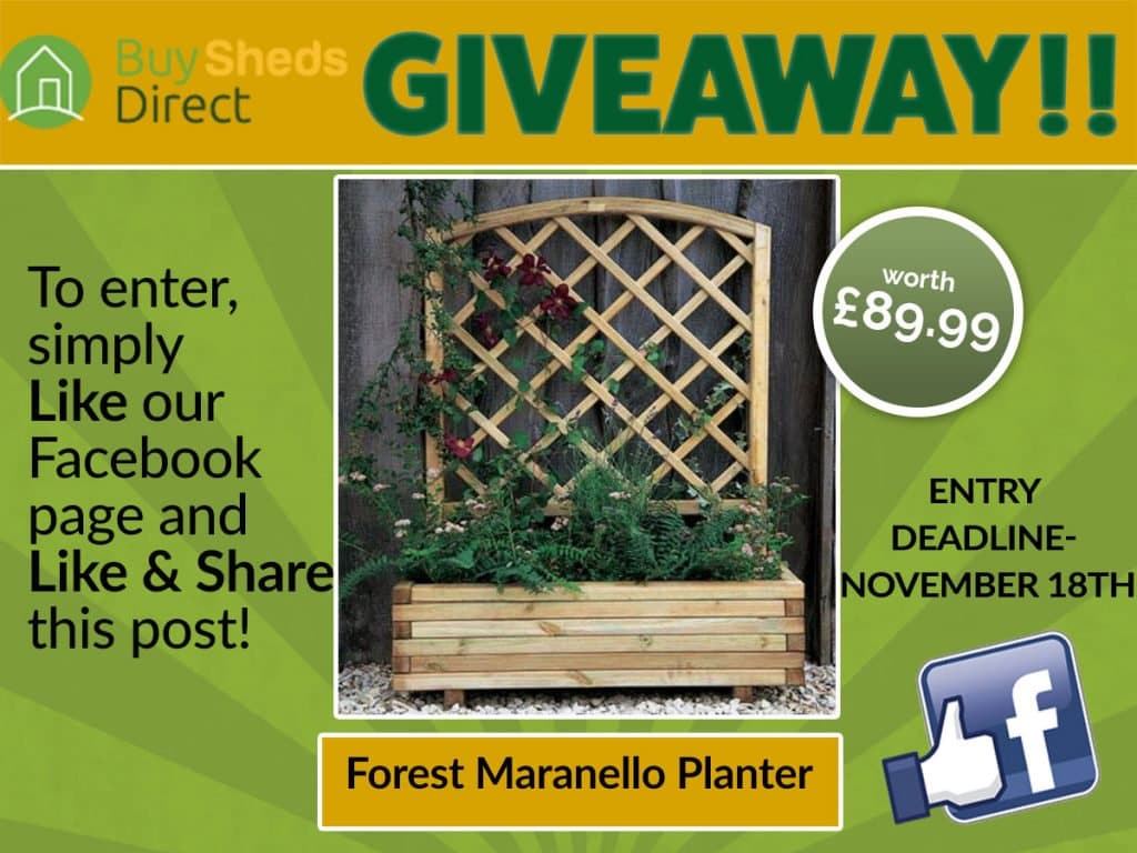 Forest Maranello Planter Giveaway