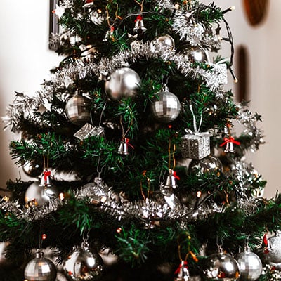 7 Ways to Recycle Your Christmas Tree