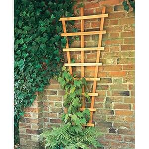 Click HERE to view the Forest Fan Wall Trellis