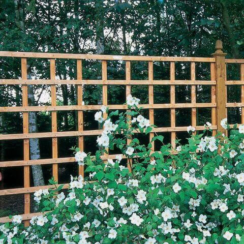 Click HERE to view this Trellis Fence Panel