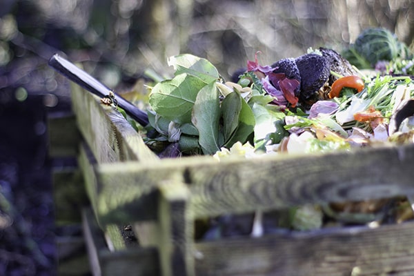 a full compost bin
