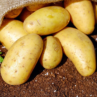 Potatoes in a hessian sack