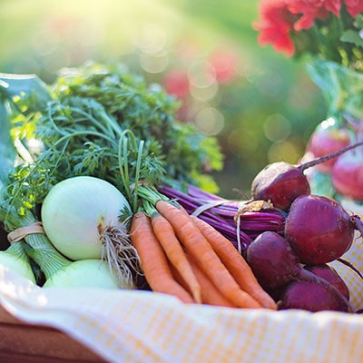 a basket of assorted vegetables