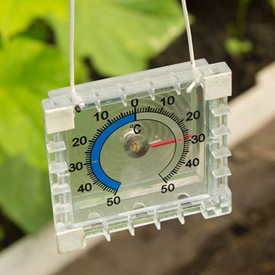 a greenhouse thermometer, showing 30 degrees centigrade