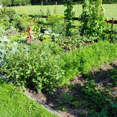 allotment in full growth 