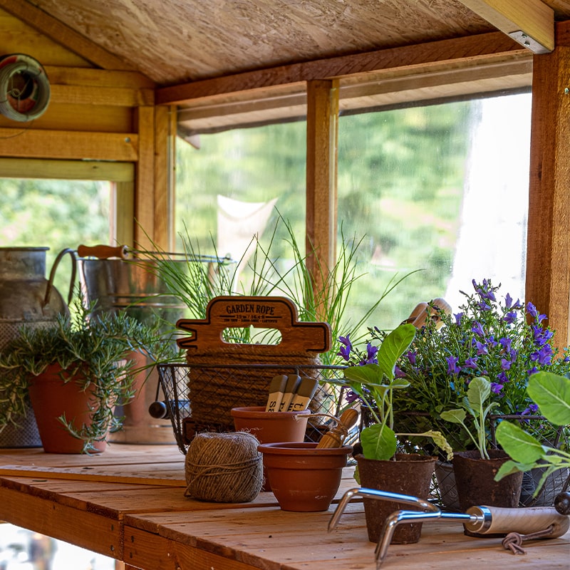 plant pots and garden tools on top of potting shed staging