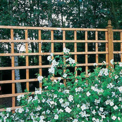 Forest 6' x 4' Heavy Duty Square Garden Trellis Fence Panel