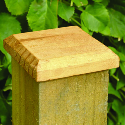 Forest Fence Post Cap 10 x 10cm