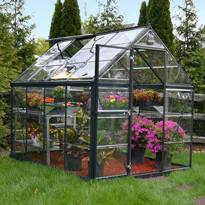 a large selection of plants growing in a greenhouse
