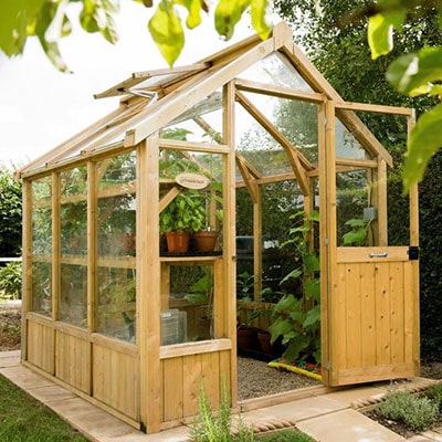 a wooden 8x6 greenhouse full of plants