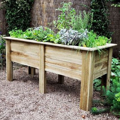 a wooden raised bed containing plants