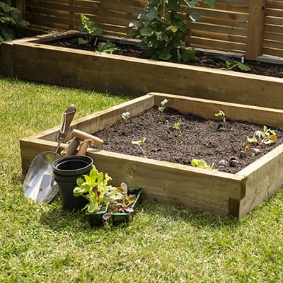a compact wooden raised bed for allotments and gardens