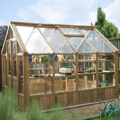 a 10x8 wooden greenhouse containing seedlings in trays