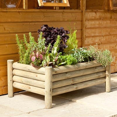 plants in a raised log planter