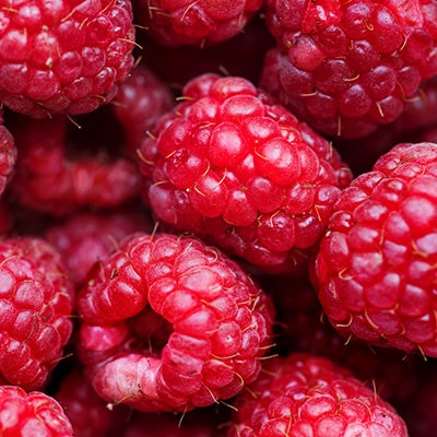 A close-up of some raspberries