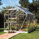 The 6'4x8'6 Halls Popular 68 Small Greenhouse, full of plants, situated on a lawn, at the end of a path, with its doors and vent open.