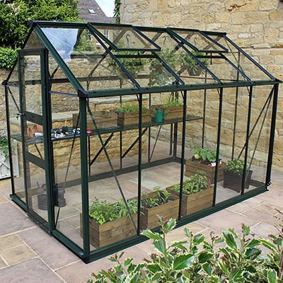 a 6x10 black-framed greenhouse, full pf plant containers