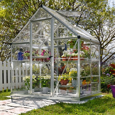 Palram 6x4 Silver Harmony Greenhouse full of garden plants