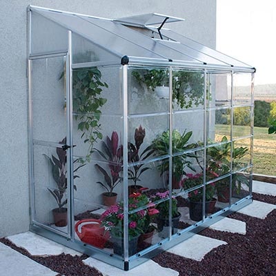 a lean-to greenhouse with an open roof vent and full of plants