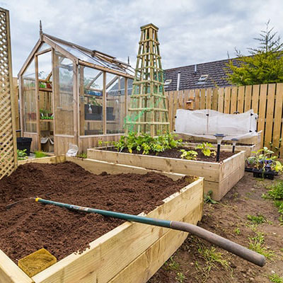 3 large raised beds and trellis, forming part of a vegetable garden