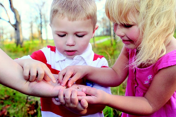 two children looking at ladybird on adult's hand