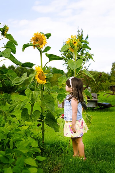 child standing under sunflower