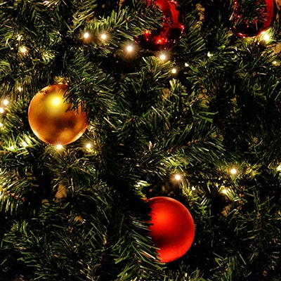 a close-up of a Christmas tree, decorated with red and gold baubles