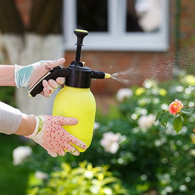 a woman watering a flower