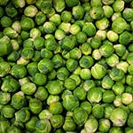A large amount of sprouts
