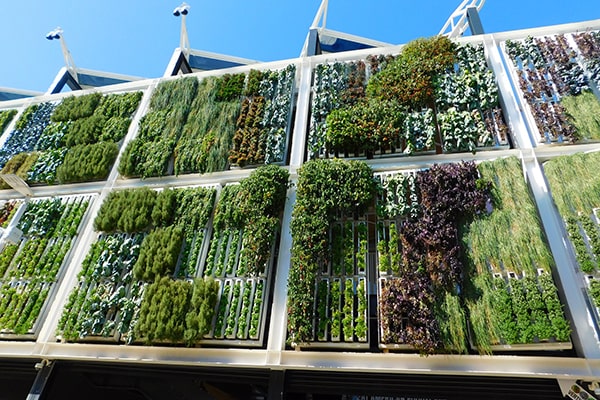 vertical gardening up a city building